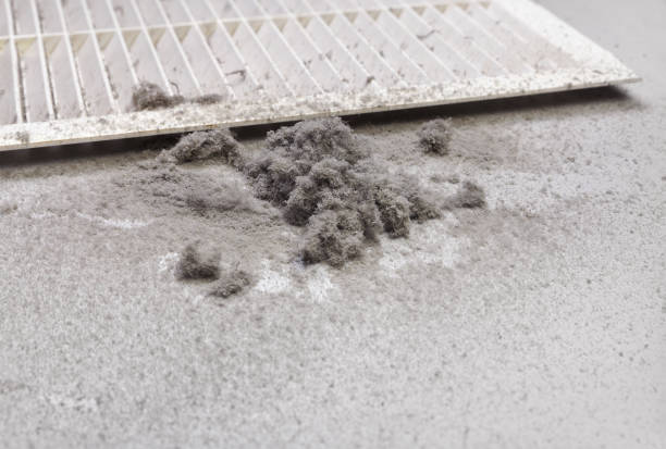 Best Ductwork Cleaning Services  in Postville, IA
