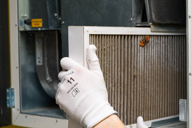 Best Air Duct Cleaning Company Near Me  in Postville, IA